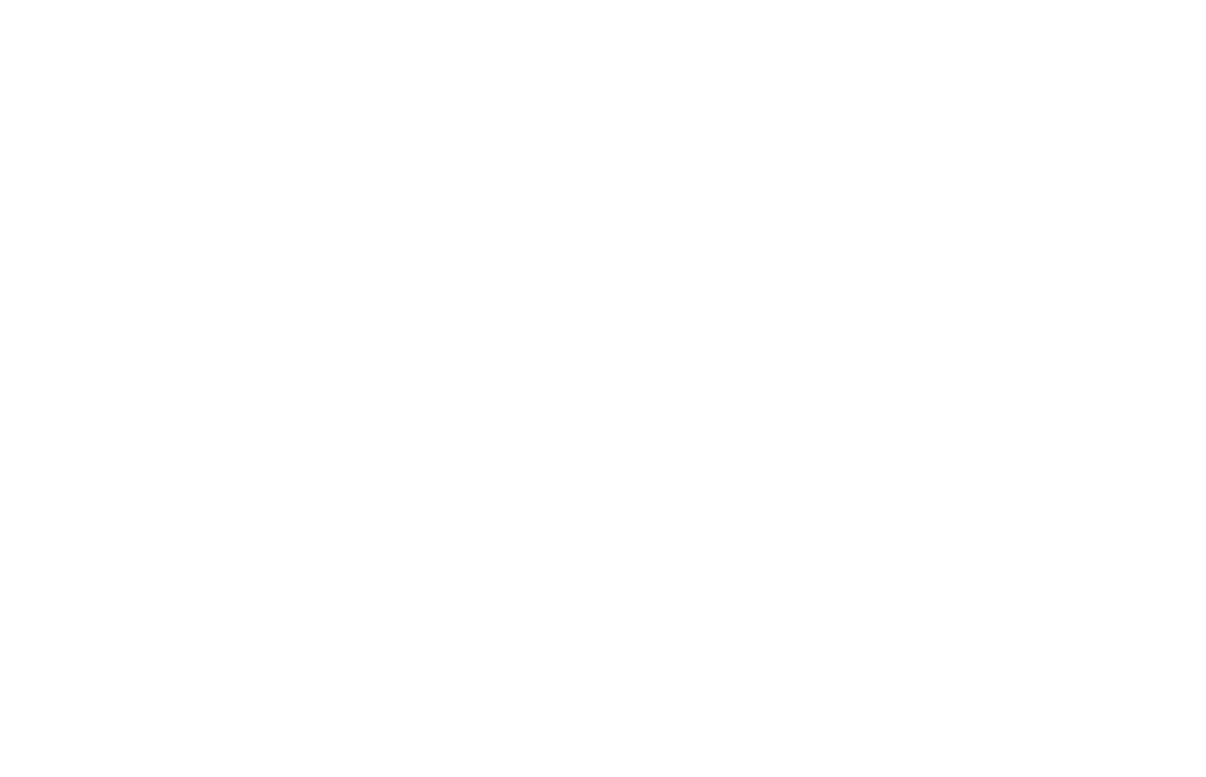 from History to Evolution